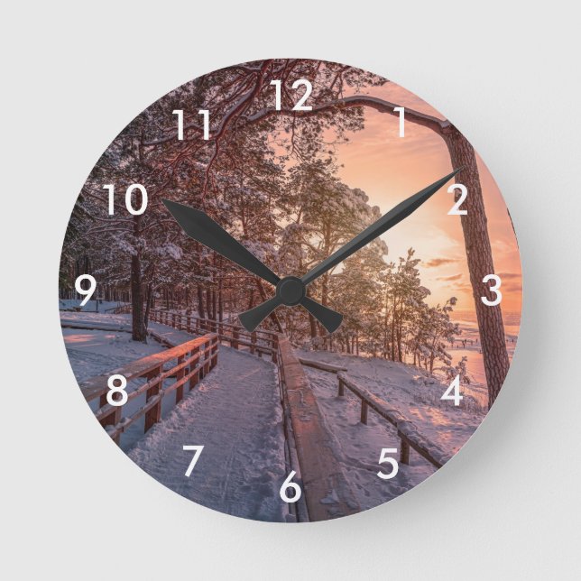 Winter sunset in pine forest near sea round clock (Front)