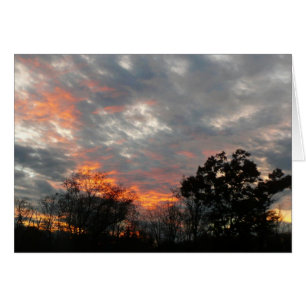 Winter Sunset Nature Landscape Photography