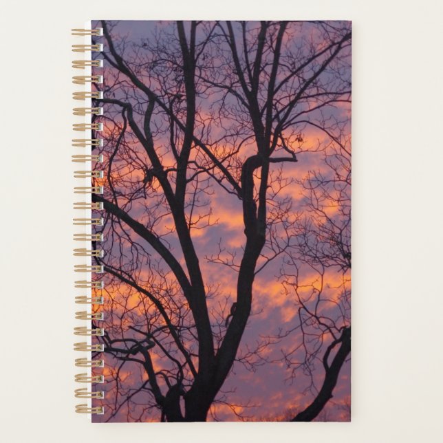 Winter Sunset Planner (Devant)