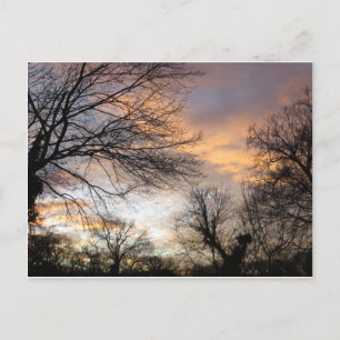 Winter Sunset Postcard