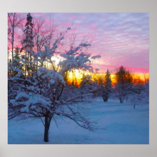 Winter Sunset Poster