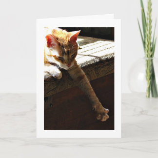 "Winter Sunshine" Card