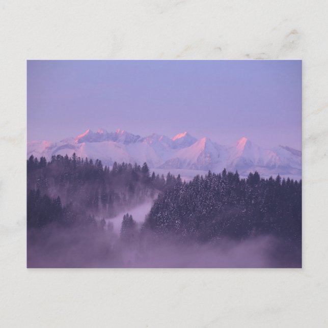 Winter Tatras view Postcard (Front)