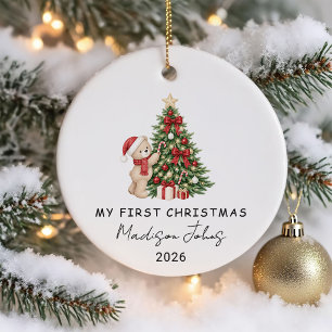 Winter Teddy Bear Baby's First Christmas Ceramic Ornament