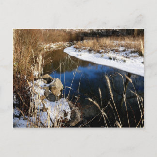 winter @ the stream postcard