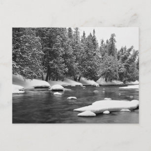 Winter Themed, Black And White Beautiful Frozen Ri Postcard