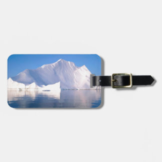 Winter Through The Icebergs Luggage Tag