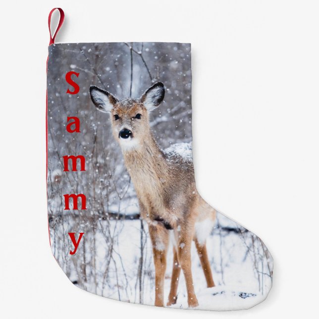 Winter Time Deer Stocking (Front)