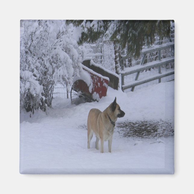Winter Time..... Magnet (Front)