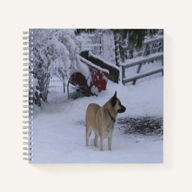 Winter Time.... Notebook (Front)
