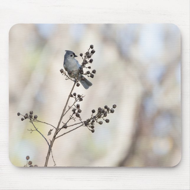Winter Titmouse Mouse Pad (Front)