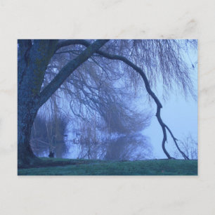 Winter tree and lake postcard