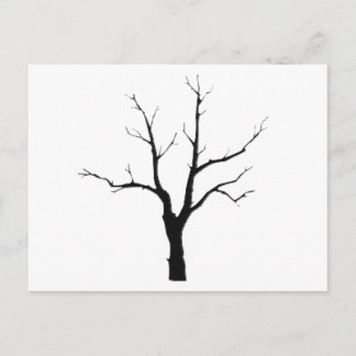 Winter Tree Black and White Set Postcard