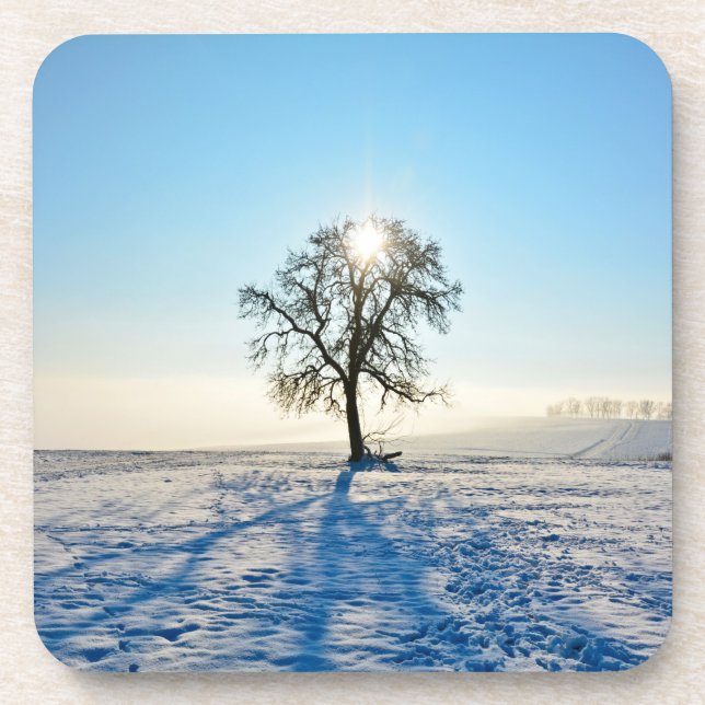 Winter Tree   -     - Coaster (Front)