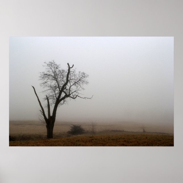 Winter Tree Foggy Meadow Poster (Front)