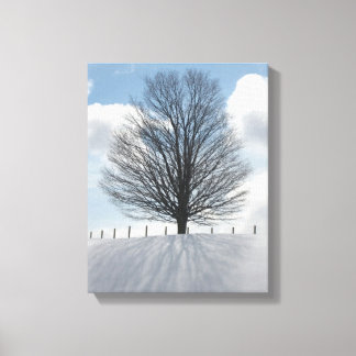 Winter Tree in Michigan Photo Canvas Art Print