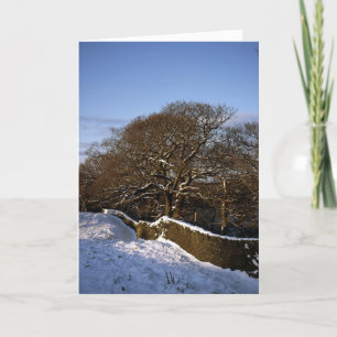 Winter Tree Lyme Handley Cheshire Holiday Card