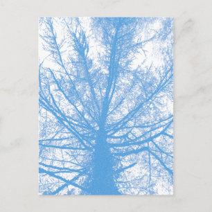 WINTER TREE POSTCARD