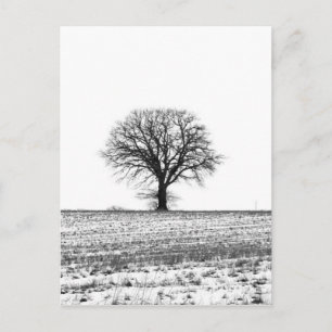 Winter tree postcard