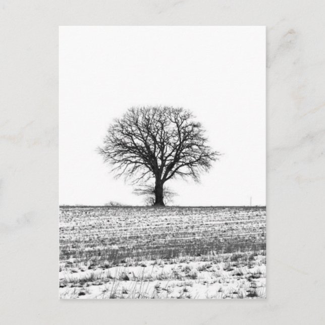 Winter tree postcard (Front)