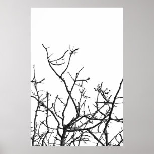 Winter tree poster