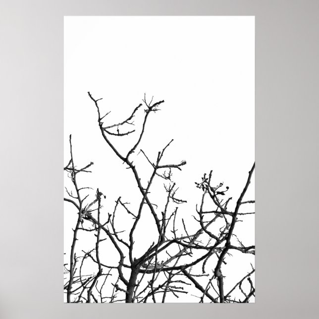 Winter tree poster (Front)