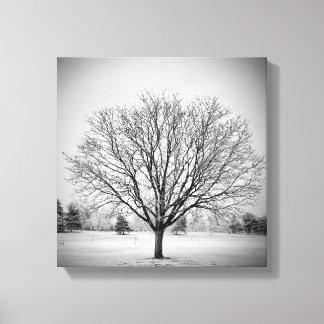 Winter Tree Stretched Canvas Print