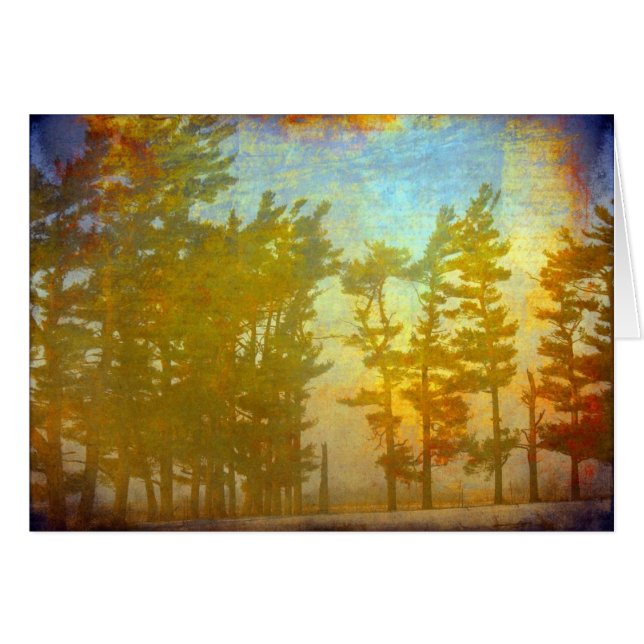 Winter Trees (Front Horizontal)