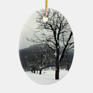 Winter trees. Arlesheim, Switzerland Ceramic Ornament