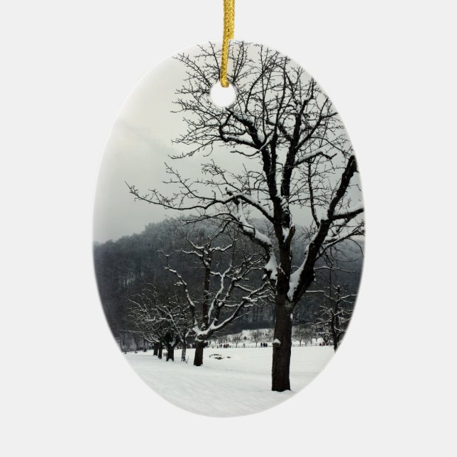 Winter trees. Arlesheim, Switzerland Ceramic Ornament (Front)