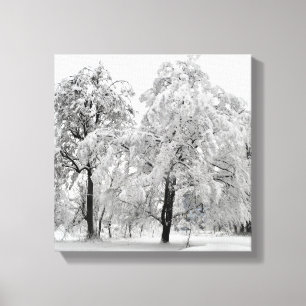 Winter Trees Canvas Print