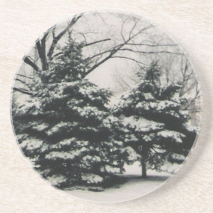 Winter Trees Coaster