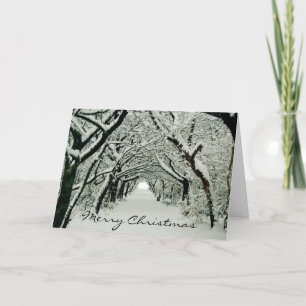 Winter Trees Holiday Card