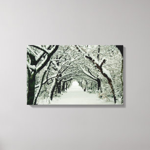 Winter Trees in Heaton Park Canvas Print