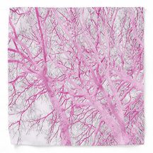 Winter Trees (pink)