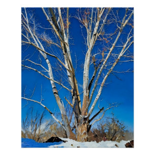 Winter Trees Under Clear Blue Sky in a Snowy Lands Poster
