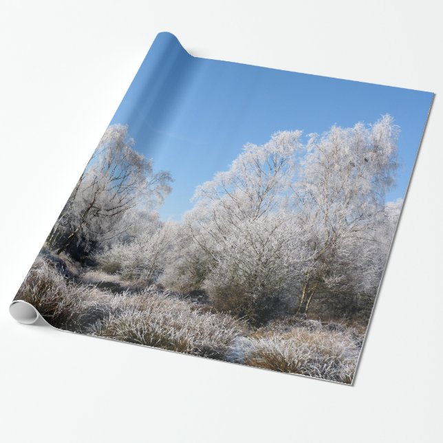 WINTER TREES WRAPPING PAPER (Unrolled)