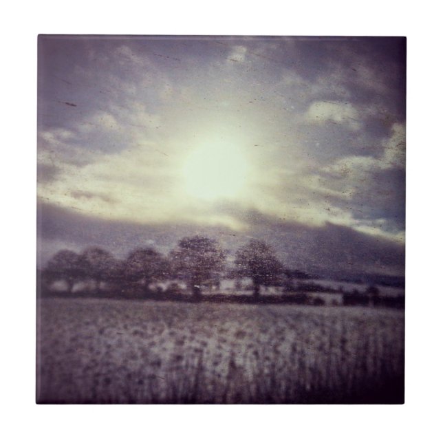 Winter ttrees fields and hills from train window tile (Front)