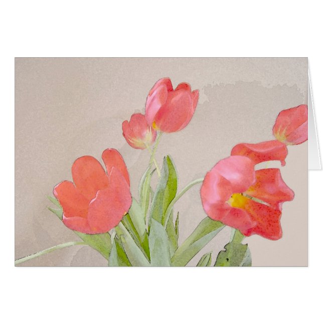 Winter Tulip (Front Horizontal)