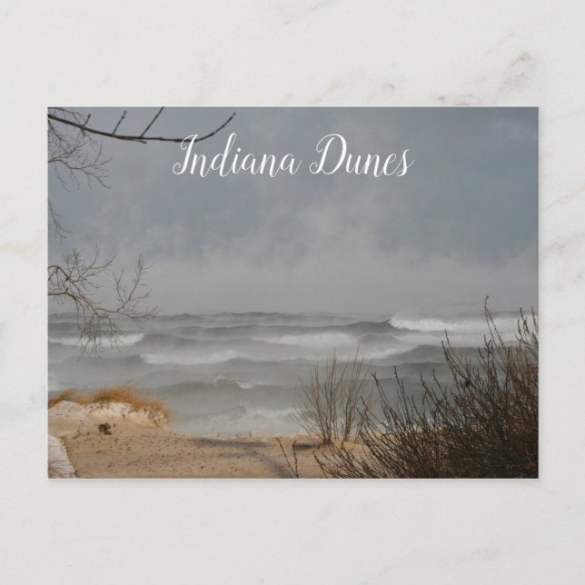 Winter View, Lake Michigan, Indiana Dunes Postcard (Front)