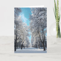 winter walk in the park