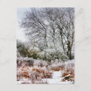 Winter Walk Postcard