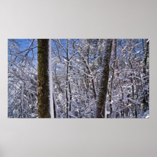 Winter Wall Ice and Snow Trees Poster
