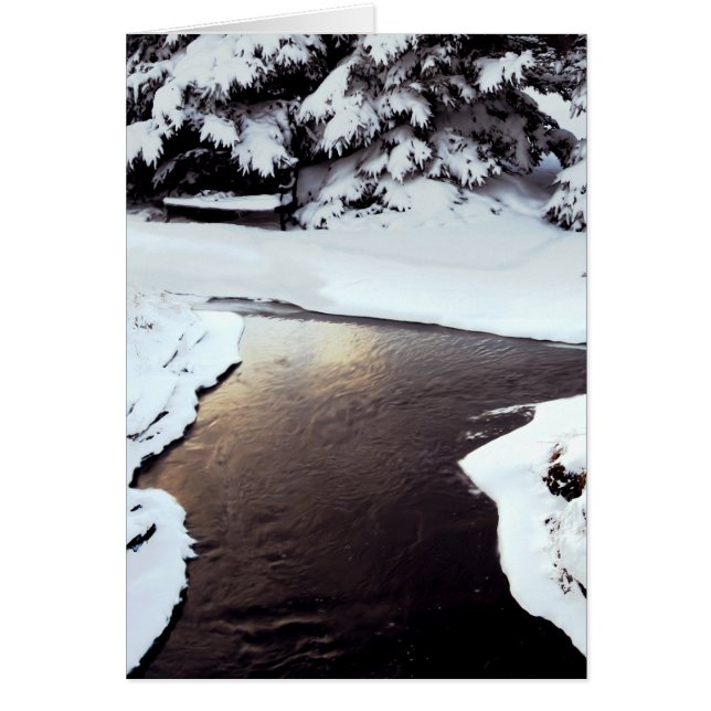 Winter Water (Front)