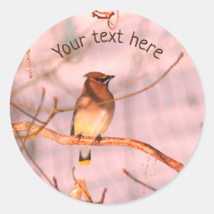 Winter Waxwing Wildlife Nature Personalized Classic Round Sticker