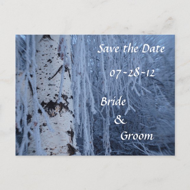 Winter Weeping Birch Wedding Postcards (Front)