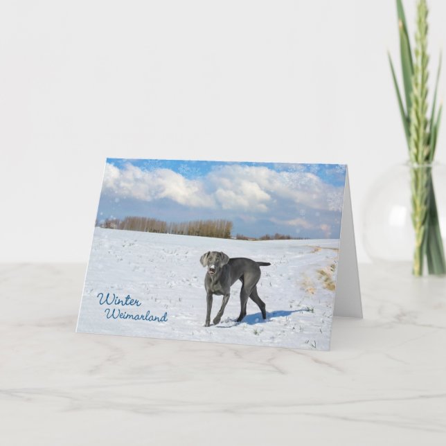 Winter Weimarland Holiday Card (Front)