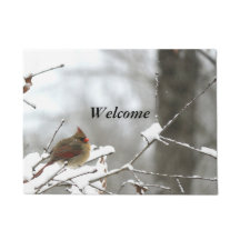 Winter Welcome