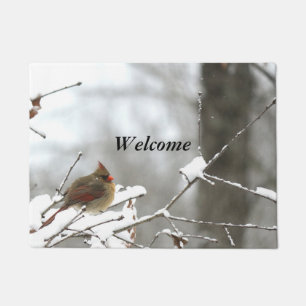 Winter Welcome Doormat