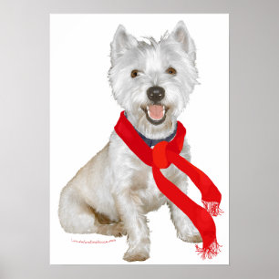 Winter Westie in a Red Scarf Poster